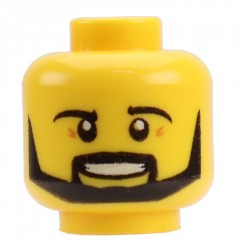 ��ǰ ������