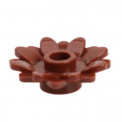 ��ǰ ������